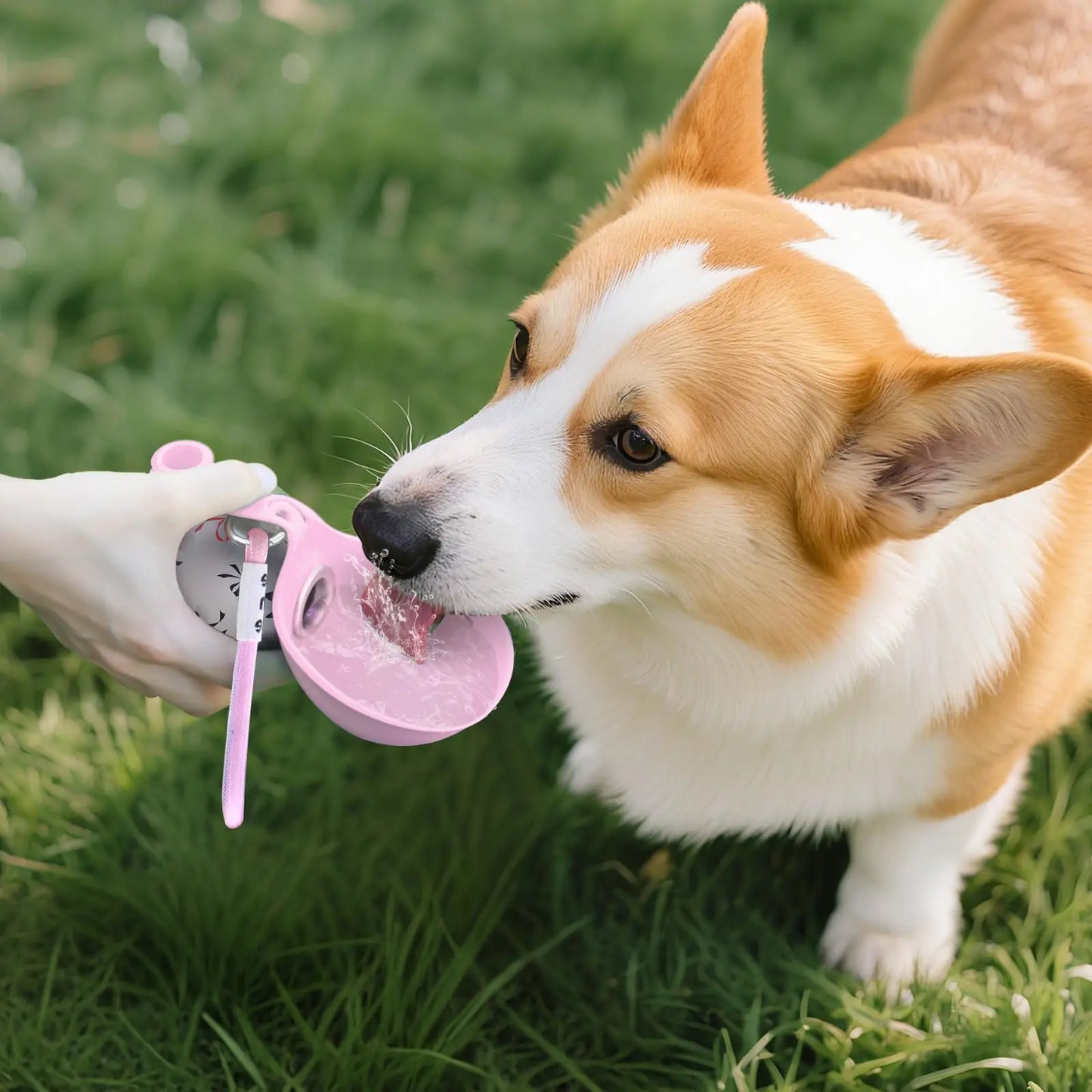 Botella de Agua Portátil 2 en 1 para Perros