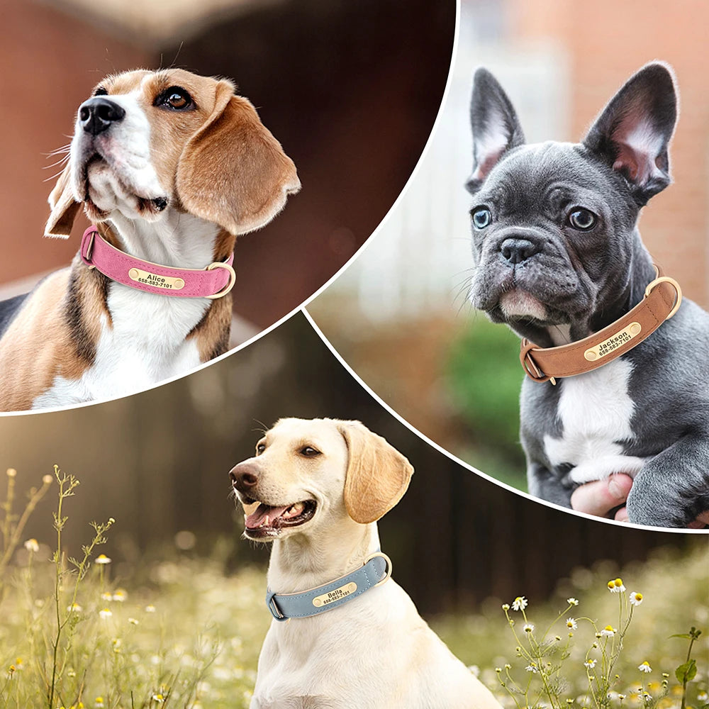 Collar para perro Personalizado — Collares de piel sintética Grabados a Medida