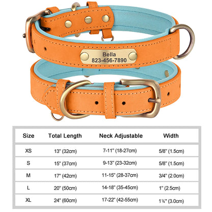 Collar para perro Personalizado — Collares de piel sintética Grabados a Medida