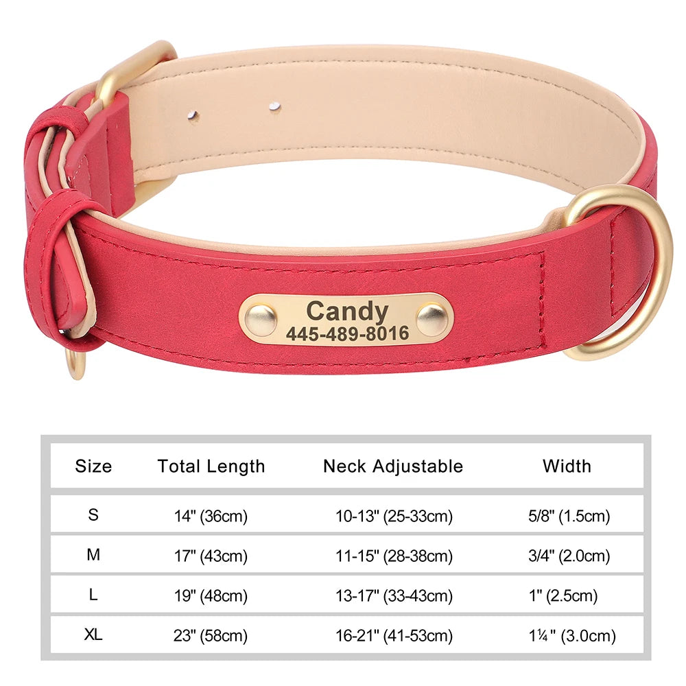 Collar para perro Personalizado — Collares de piel sintética Grabados a Medida